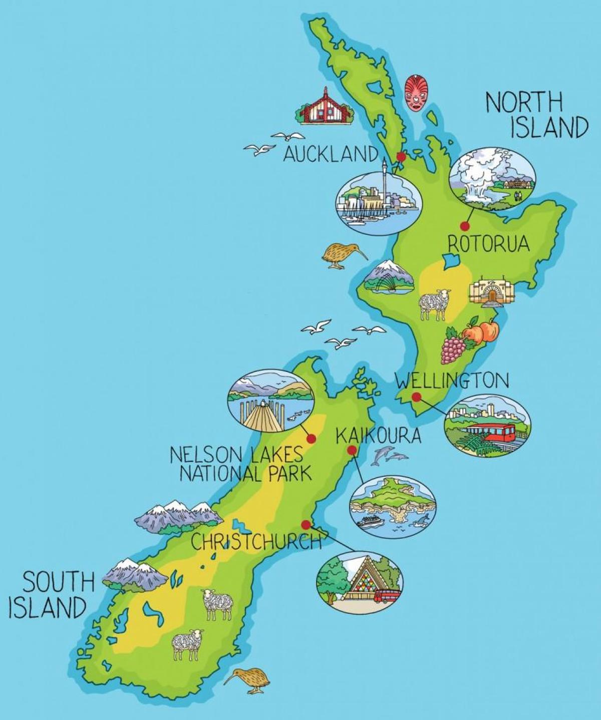 new zealand map cartoon