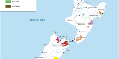 New zealand wine regions map